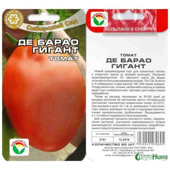 Сорт с долгим плодоношением — томат де барао желтый: описание помидоров и их характеристики