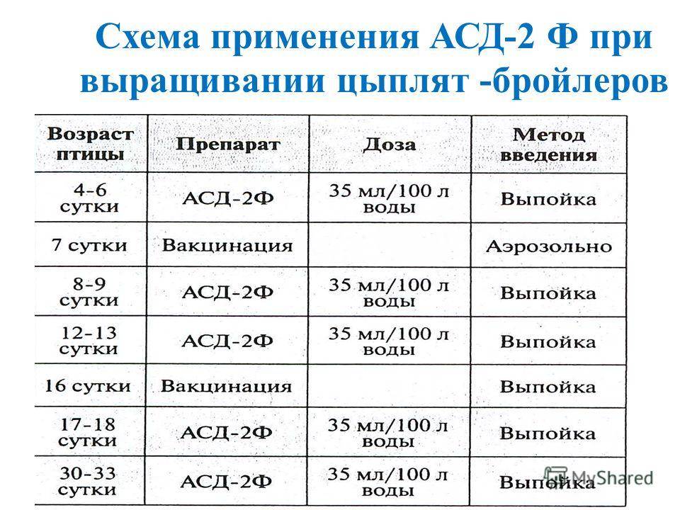 Как поить бройлеров