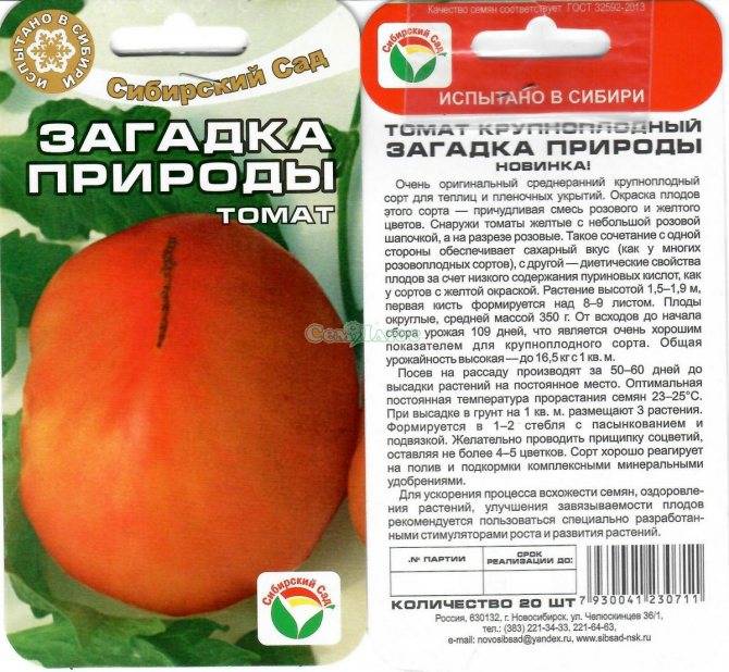 Томат «загадка»: описание сорта, фото и основные характеристики помидора