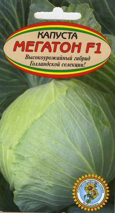Описание сорта и фото капусты мегатон f1. уход за овощем, размножение и борьба с болезнями