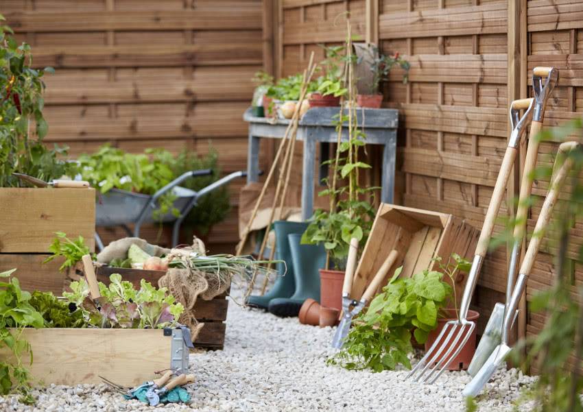 Работы в саду в январе: чем можно заняться опытному садоводу
