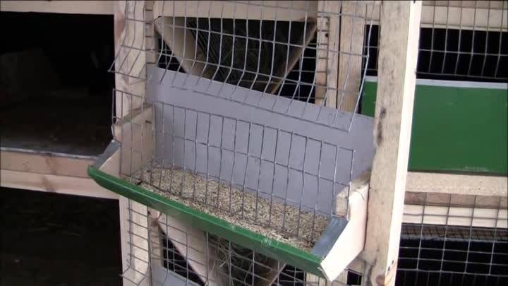 Бункерная кормушка для кроликов: размеры, как сделать своими руками