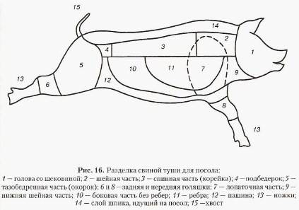 5 главных схем разделки свиной туши, виды мяса