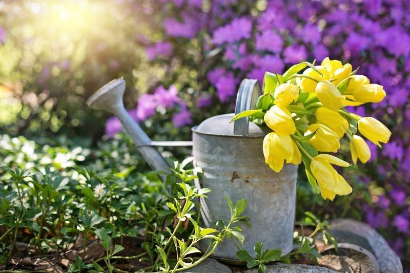 Чек-лист весенних дел для апреля: как провести весну, что нужно успеть сделать, 15 приятных дел