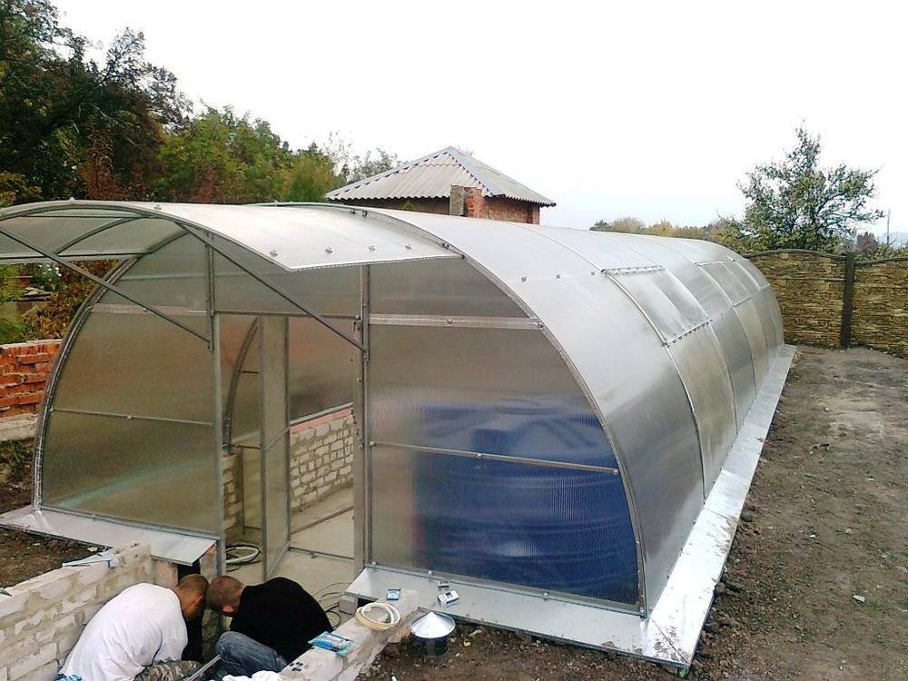 ✅ куры в теплице зимой: особенности содержания, как обустроить теплицу из поликарбоната, видео - tehnoyug.com
