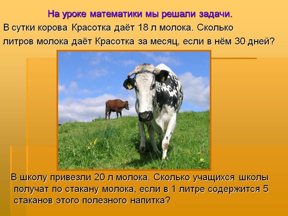 Сколько литров молока дает корова в сутки: оперативная информация по надоям и реализации молока в россии