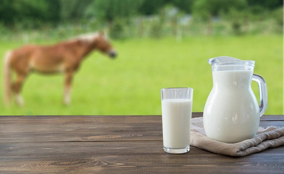 Что такое кобылье молоко