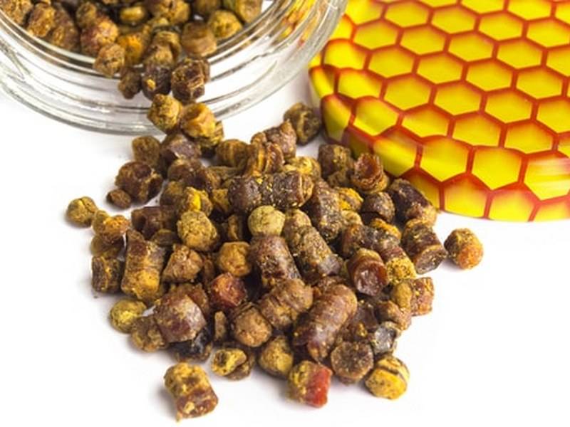 Лечение пчелиной пергой — польза и вред, как принимать, применение