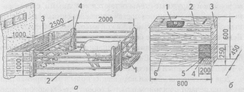 Как построить свинарник своими руками — инструкции и рекомендации