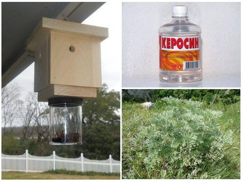 Как избавиться от пчел на даче, участке, в доме, гараже, сарае