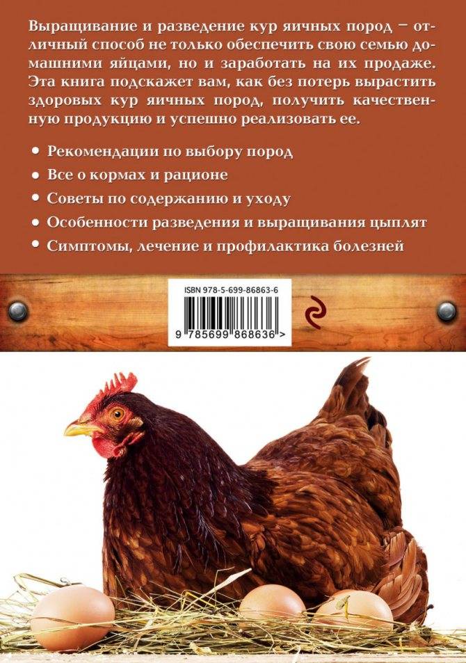 Мясо-яичные породы кур: фото, характеристики, описание