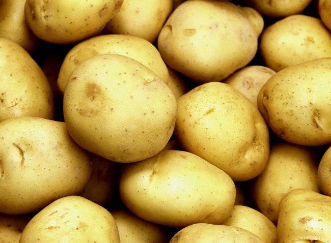 Тулеевский картофель: особенности сорта и характеристика