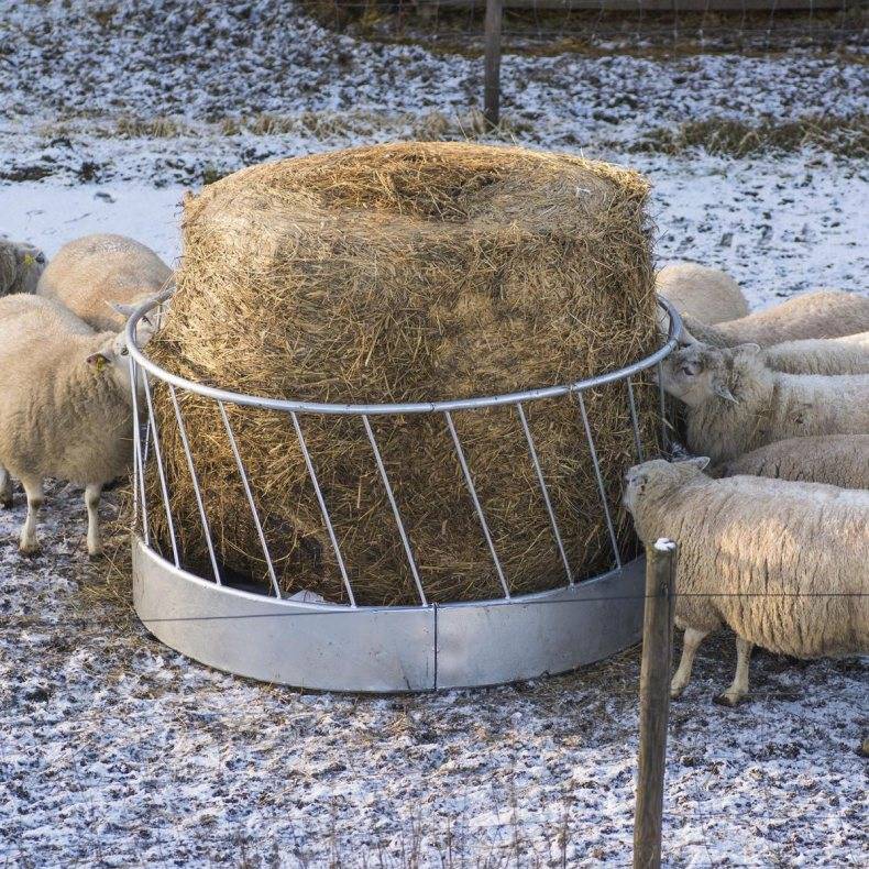 Как сделать кормушку для овец под сено