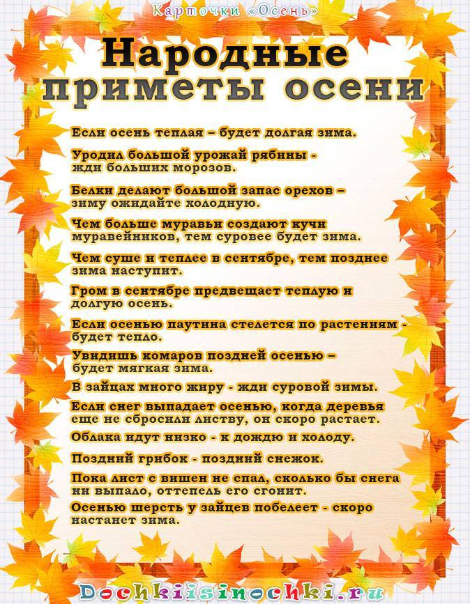 Что посадить в сентябре - октябре в огород, цветник и сад на supersadovnik.ru