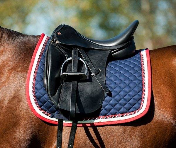 Защита для лошади: попоны, капоры и маски, бинты, ногавки и кабуры