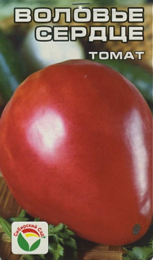 Томат воловье сердце: описание сорта, отзывы, фото, урожайность | tomatland.ru