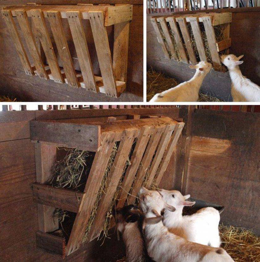 Кормушка для коз под сено: виды, размеры, как сделать