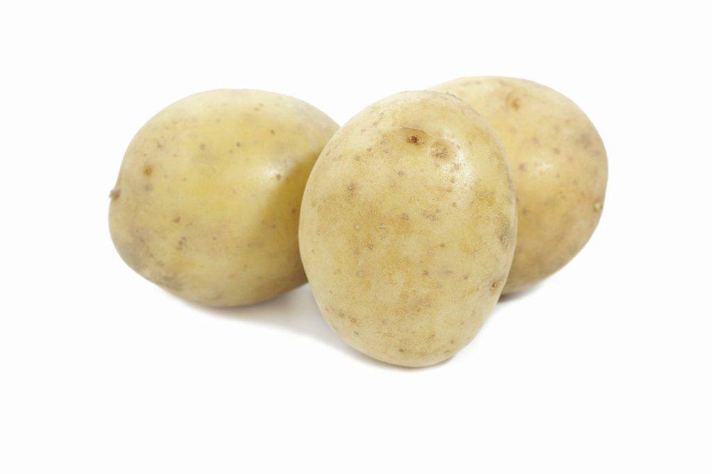 Картофель гала: описание сорта, характеристики и отзывы