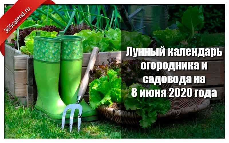 Календарь огородника и садовода на 8 мая 2020 года