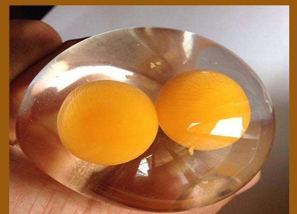 Почему в одном яйце два желтка и как такое возможно?