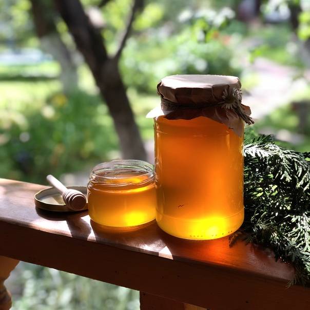 Весенний майский мед: полезные свойства и как определить натуральный