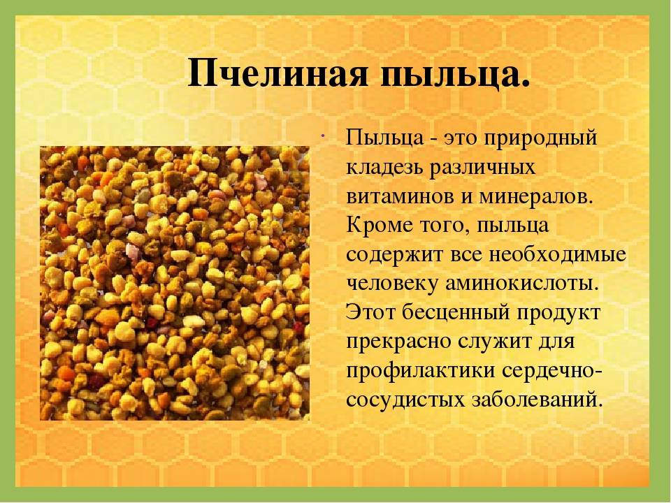 Перга пчелиная полезные свойства