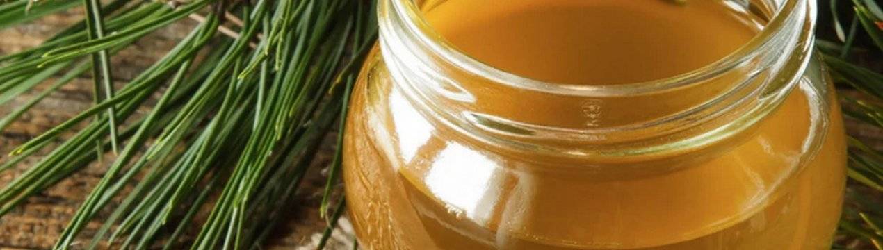Мёд с пыльцой: полезные свойства, как принимать, противопоказания