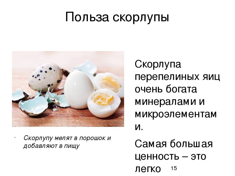 Перепелиные яйца: узнаем правду! состав, сравнение с куриными, чем полезны и как принимать