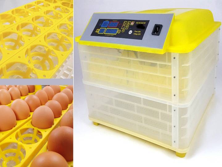 Топ-6 лучших инкубаторов яиц в 2019 рейтинг