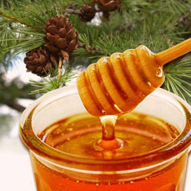 Мёд разнотравье: полезные свойства и противопоказания