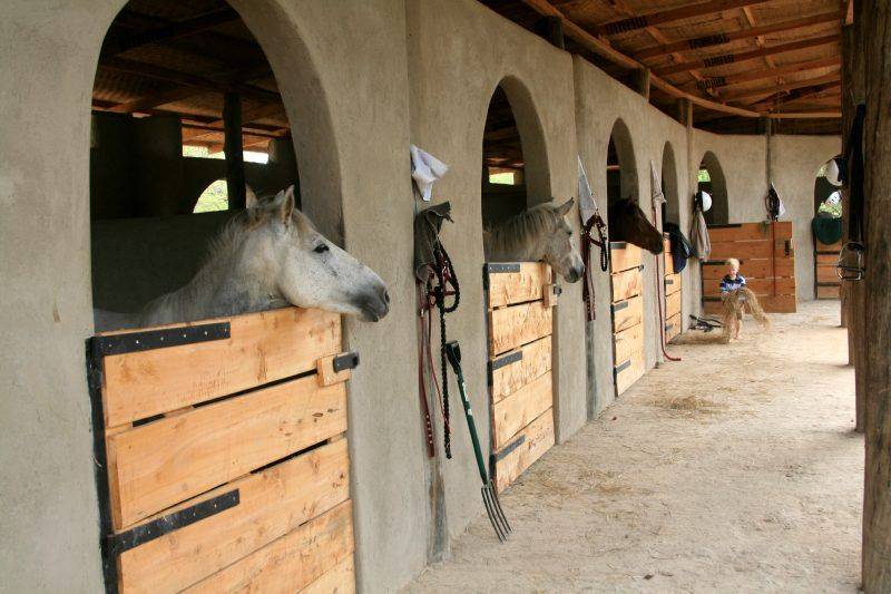 Конюшня для лошадей: проектирование и строительство своими руками